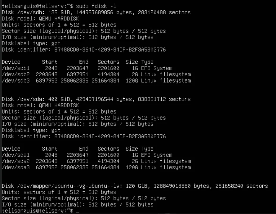 Final result: new 135 GiB disk active
